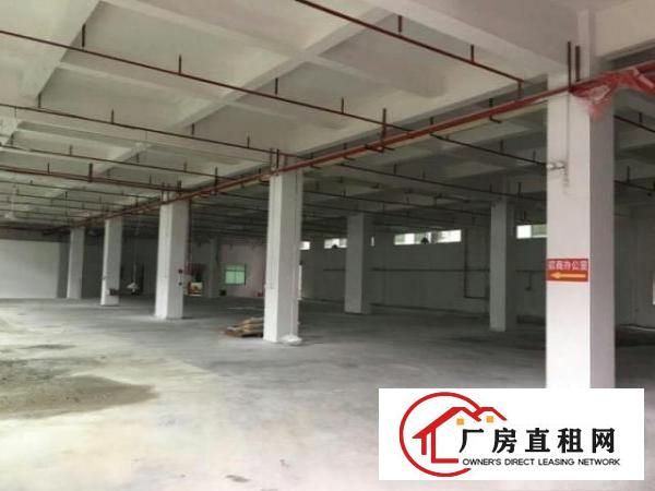  万江3200厂房平出租有精装办公室，水电消防齐全加工，等行