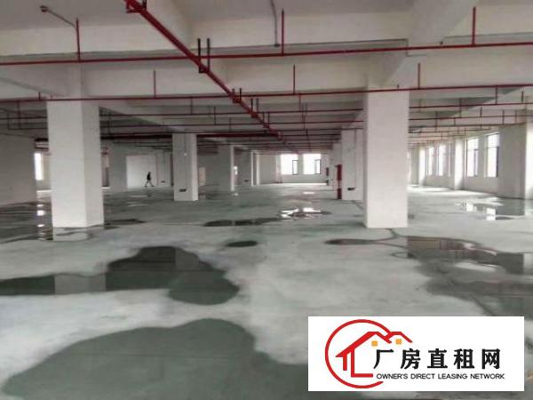  万江简沙洲标准厂房楼上三楼2000平方带消防喷淋出租