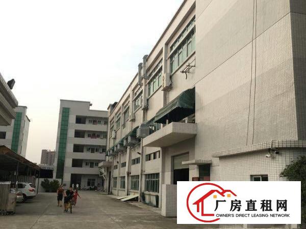  万江工业区标准一楼1000平方招租水电齐全五金加工福音