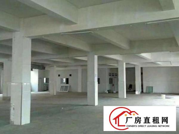  万江标准独院厂房4200平方低价急租厂房精装修，办公区齐全