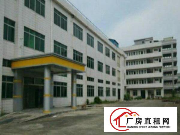  万江标准厂房一楼1700平方，地板漆车间宿舍按需现成水电