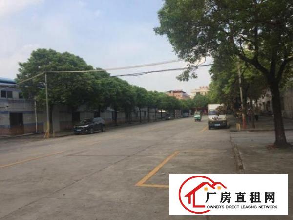  成熟工业区门口30米大路滴水八米钢结构厂房