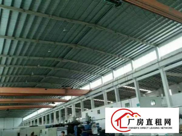  万江大莲塘工业区独院钢构厂房2100平方米可分租900