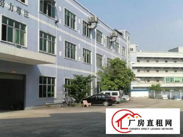  万江新出一楼2000平米单一层高9米厂房可分租