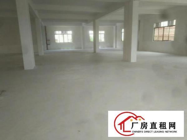 独门独院新盖楼房，形象漂亮
