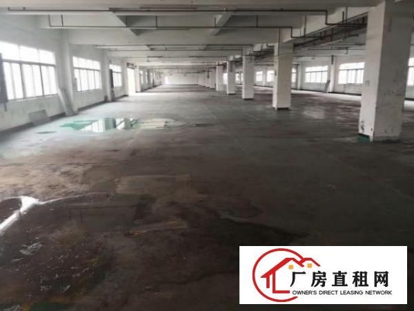  万江500-3000平独院标准厂房可以任意分租配电按需