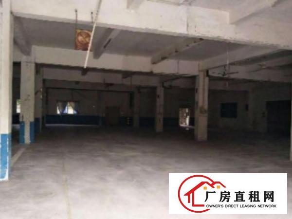  万江带现成装修标准厂房楼上2楼800或1000平方招租