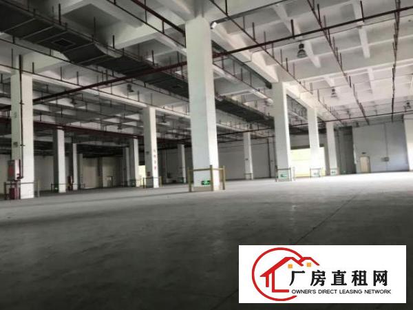  万江新出独院标准厂房一楼1500平方出租适合做设备、塑胶