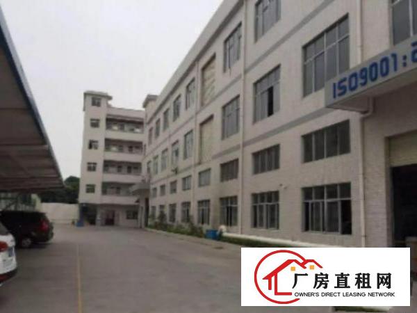  万江带现成装修标准一楼600或800平方招租地板漆车间，