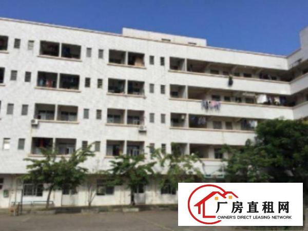  万江流涌尾标准厂房一楼2000平方招租现成办公室，宿舍按需，