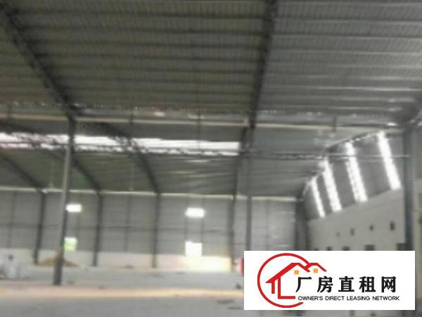  万江周边独门独院全新推出钢铁结构2700平方的厂房招租空地大