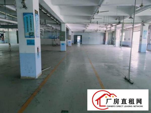  万江新出1200平米标准一楼