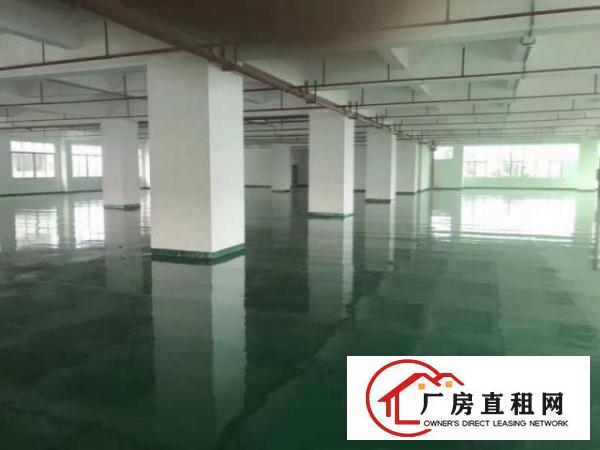  万江标准厂房2楼1500平方带办公室装修可进大车，有宿舍，电
