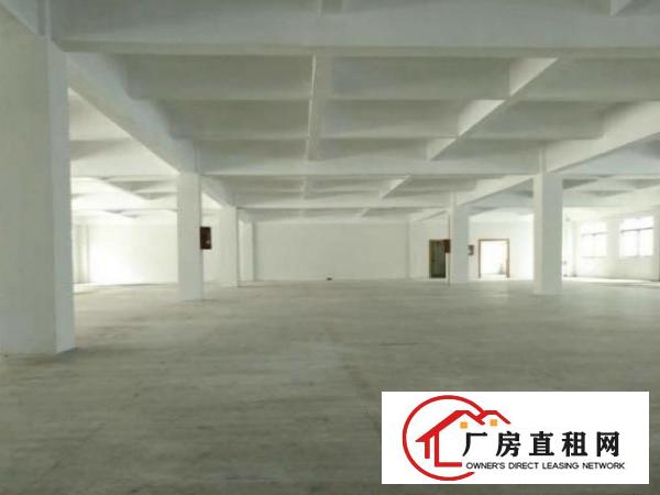 万江周边独院分租一楼厂房2000平方低价招租中