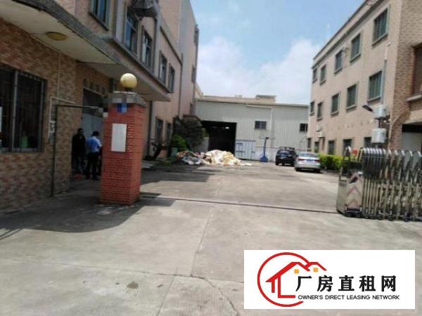  东莞万江新出独门独院厂房出租原房东