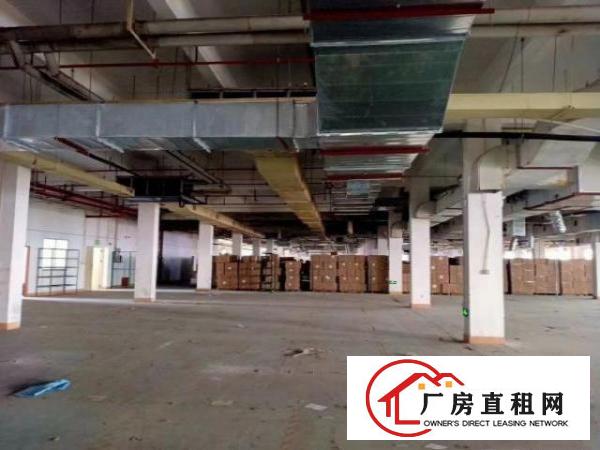  东莞万江新出独门独院厂房出租原房东