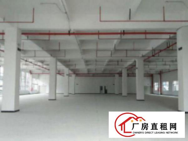  万江上甲工业区新出原房东独门独院单一层700平方