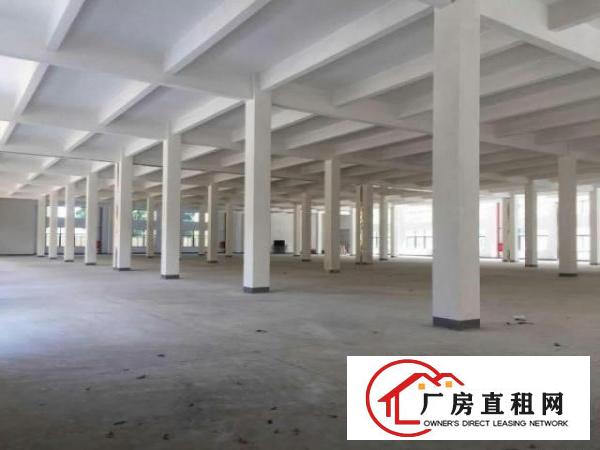  万江上甲工业区新出原房东独门独院单一层700平方