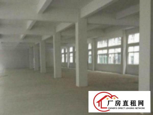  万江交通方便独院标准厂房分租一楼700平米出租