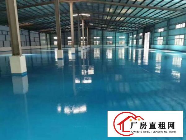  万江独院全新单一层钢构房4800平