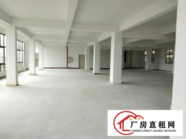  万江牌楼基工业区单一层独院厂房2800可分租1000