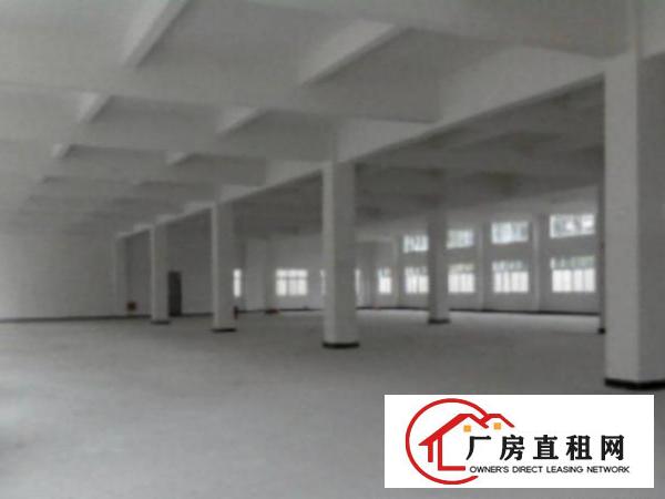  标准一楼厂房1800平方米,层高6米,可装行车,成熟工业区