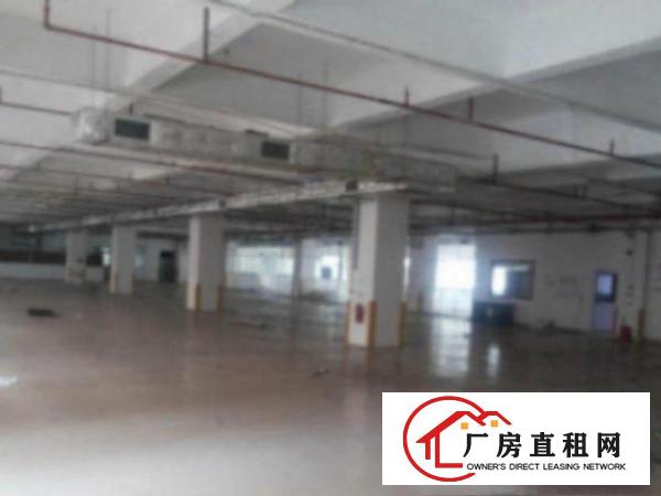  标准一楼厂房1800平方米,层高6米,可装行车,成熟工业区