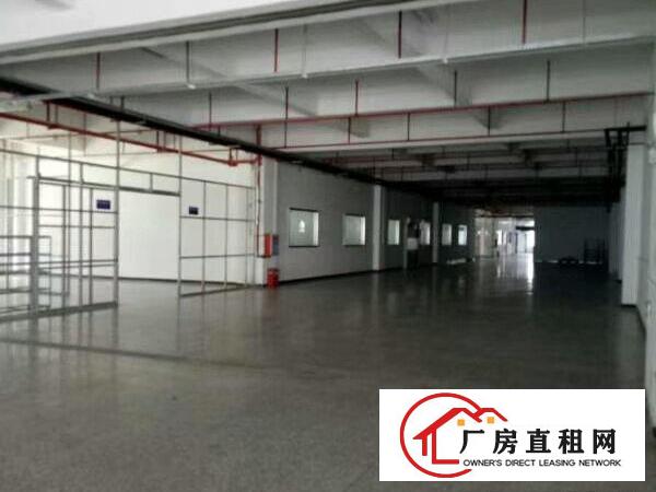  万江工业区标准一楼1000平方招租、消防水电齐全，交通方便