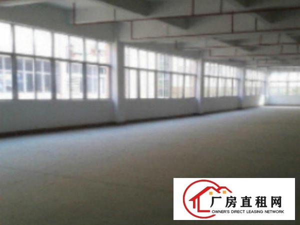  万江标准厂房分租一楼700平方形象好急租