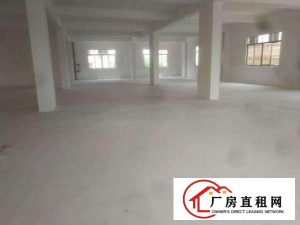  上甲独门独院新建厂房2000平，带电梯，真实图片