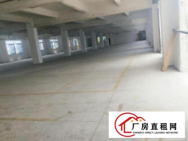  万江简沙洲环城路外标准一楼厂房800或1000平方出租