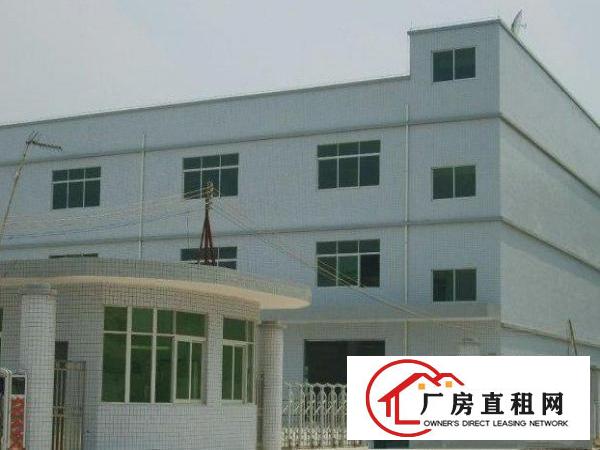  万江107国道附近新出标准一楼现成办公水电