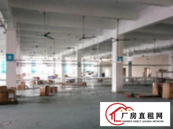  万江标准一楼厂房出租3001300、2300平方出租适合机