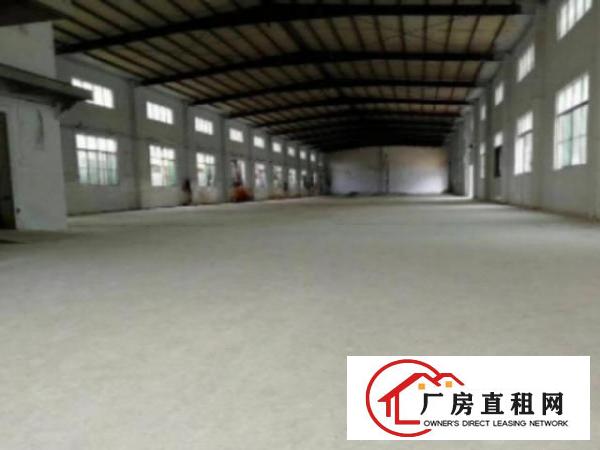  环城路边单一层8米滴水位高厂房面积5000平方