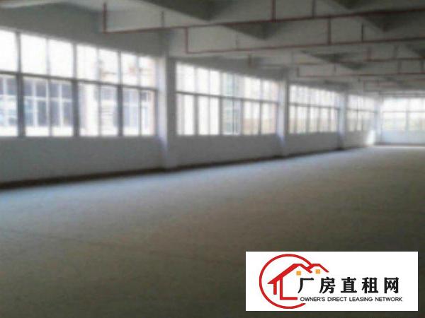  万江厂房580平，高度7米，可办环评，价格便