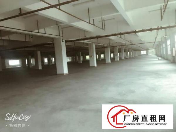  万江周边独院厂房分租1楼1800平方低价招租