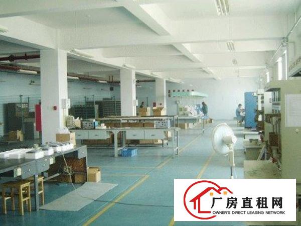 万江标准一楼厂房1000平方米，层高5米、适合五金机械等行
