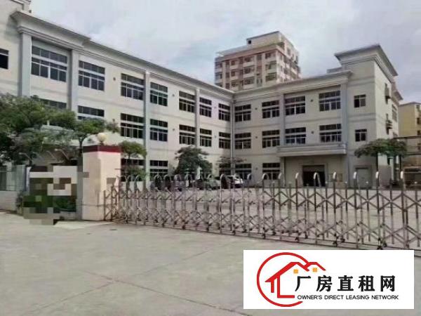  万江标准一楼厂房1000平方米，层高5米、适合五金机械等行