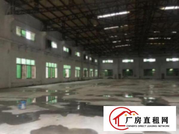  万江环城路边工业地小享新出单一层钢构厂房1200平方出租