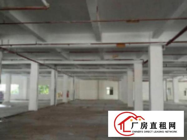  万江工业区标准一楼2000平方招租水电齐全交通方便