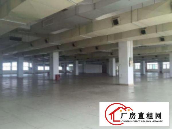  万江环城路外独门独院标准厂房5500平出租工业用地