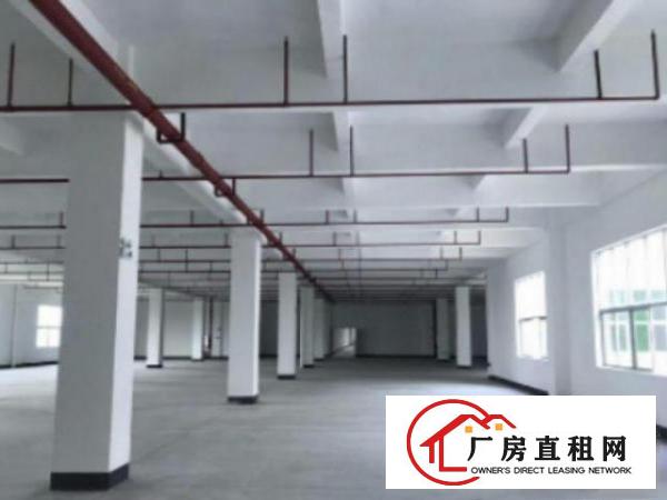  万江​工业区标准一楼1000平方招租水电齐全