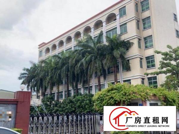  万江独门独院原房东厂房出租15块