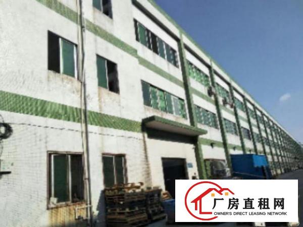  独院厂房分租1楼1800平方低价招租，带牛角
