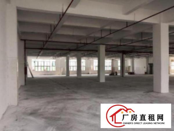  万江九成新经典独院标准楼房厂房宿舍共7000平方出租