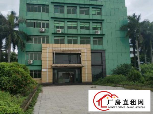  万江新出独院单一层厂房3100平米带牛角