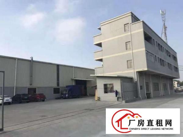  万江大小型厂房仓库招租信息/东莞单层厂房招租