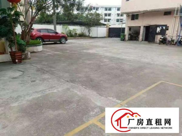  万江客运总站高埗大量标准厂房道滘单层一楼小型仓库招出租