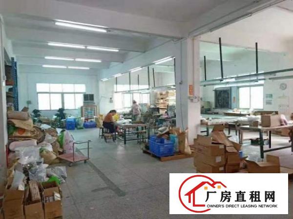  万江客运总站高埗大量标准厂房道滘单层一楼小型仓库招出租