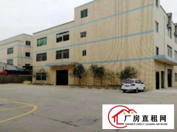  万江独院厂房分租1楼1500平方低价招租，带牛角水电齐全
